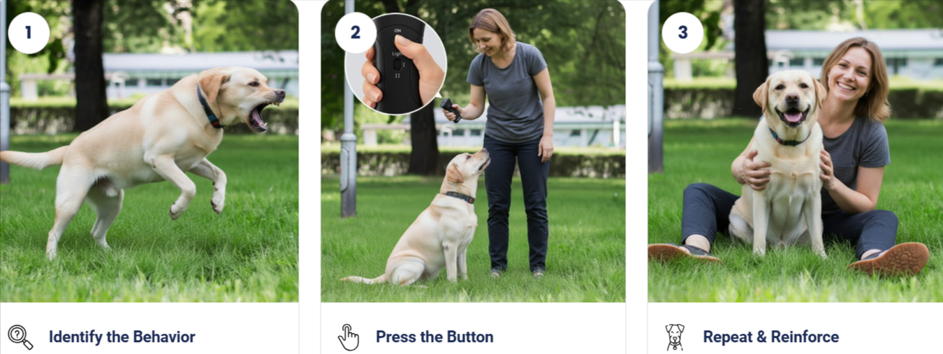 BrooBark Dog Training Device How to use