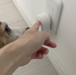 Clairu Air Purifier Customer 1