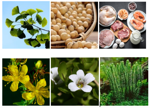 Hewelth ThermaEase Pro Ingredients