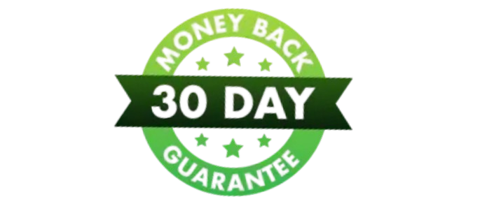 Light Socket Security Camera Money back guarantee