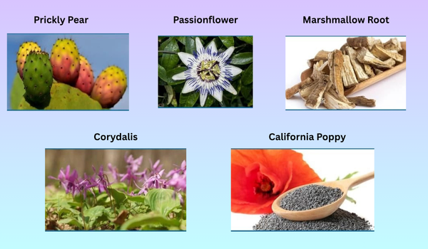 Nerve Soothe Ingredients