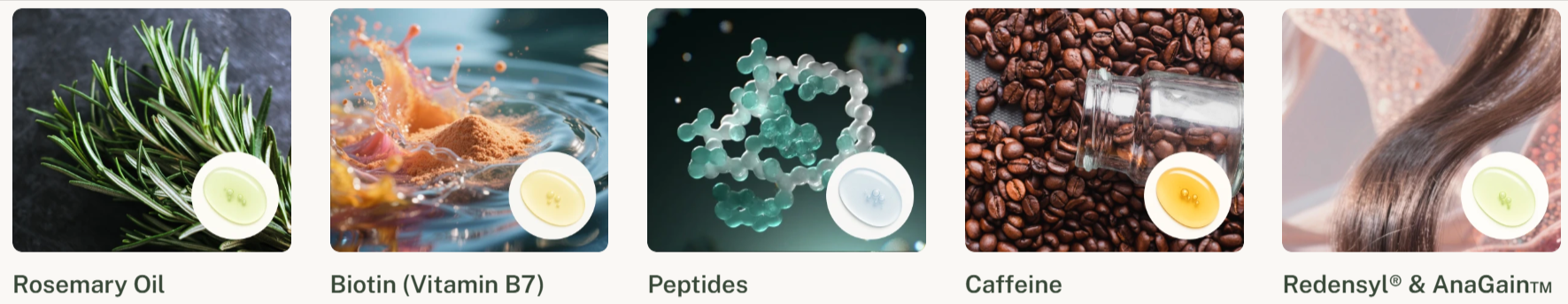 The Science Behind Ingredients