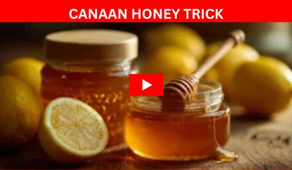 Canaan Honey Trick