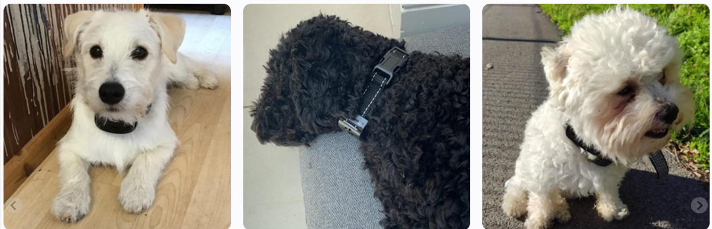 FurFence Dog Collar Customer Reviews