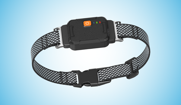 FurFence Dog Collar Reviews