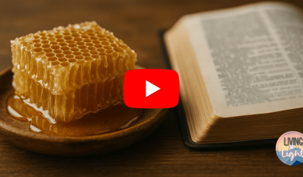 Honey Trick in the Bible