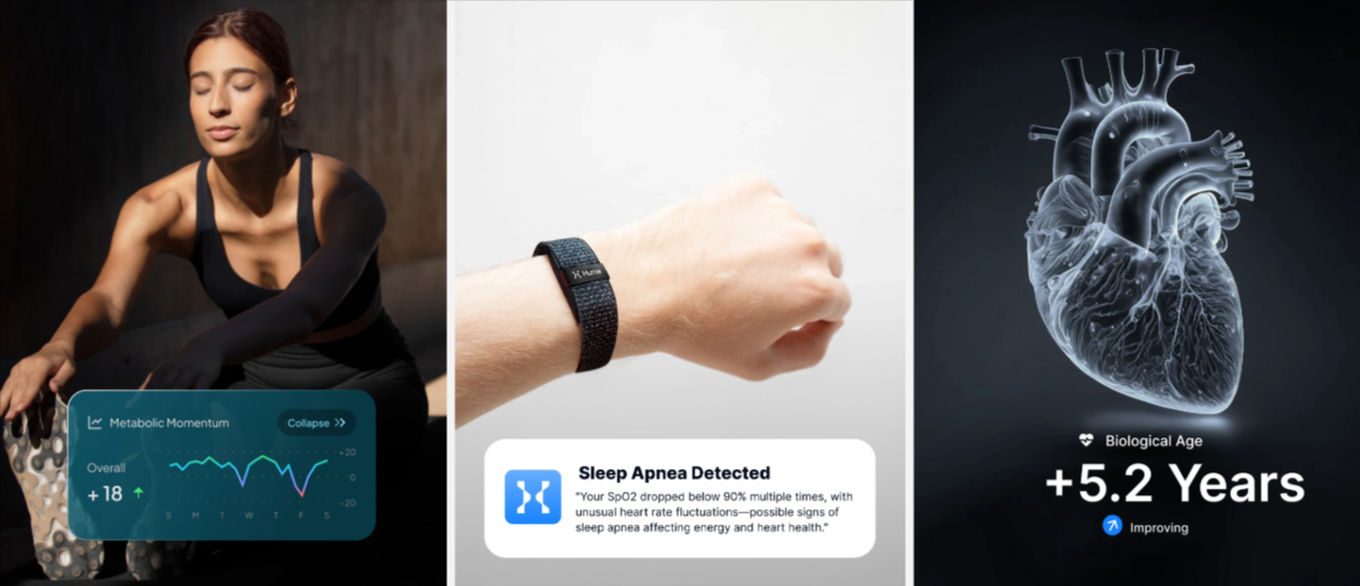 Hume Band Australia Benefits