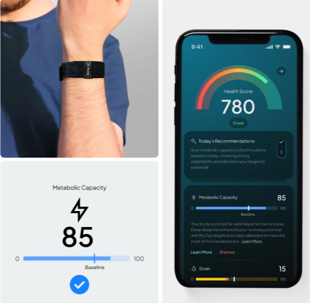 Hume Band Australia Reviews