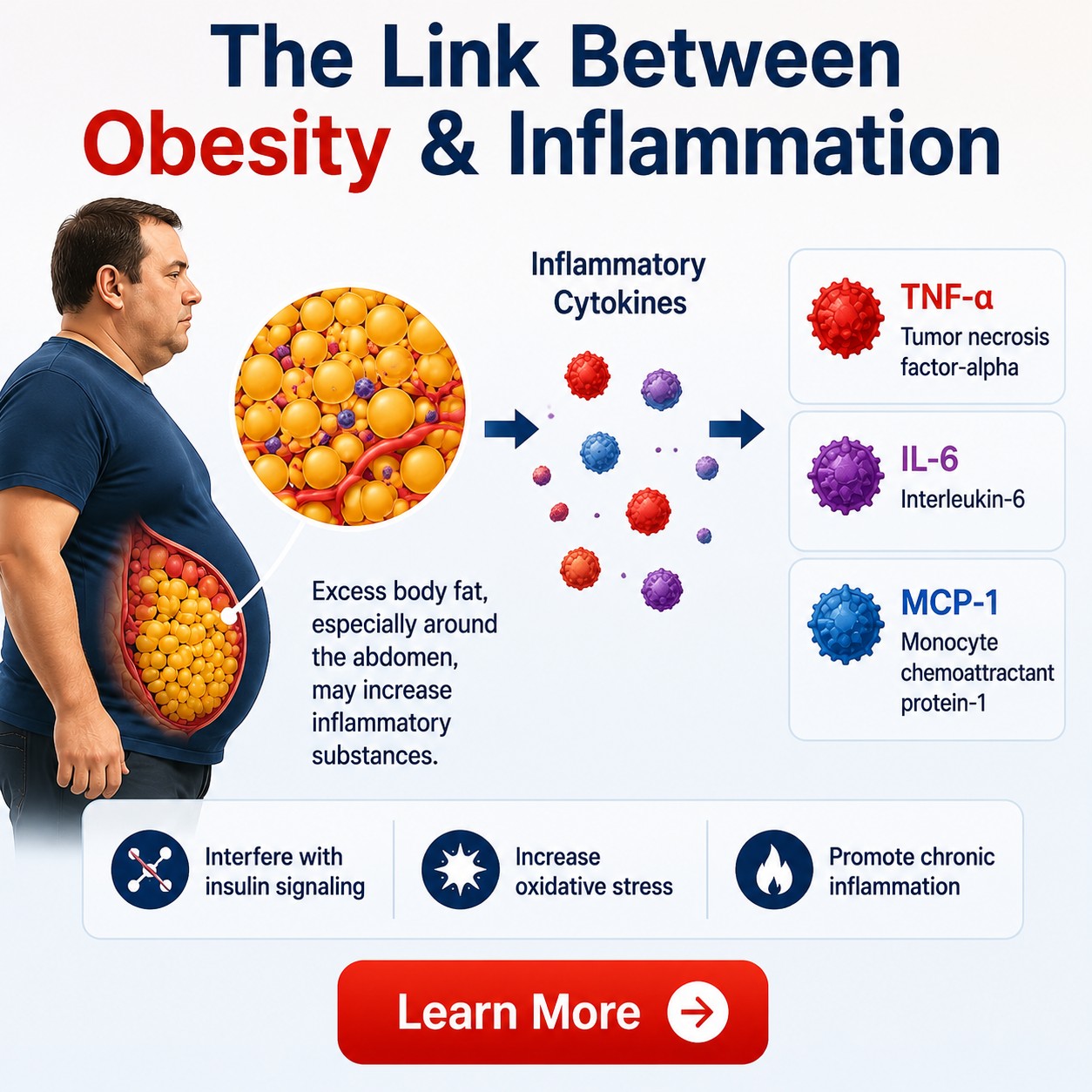 The Link Between Obesity and Inflammation
