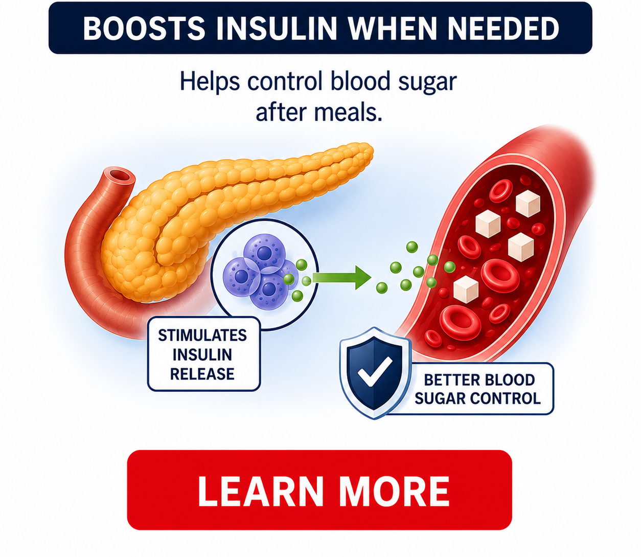 how does glp-1 work - 3.