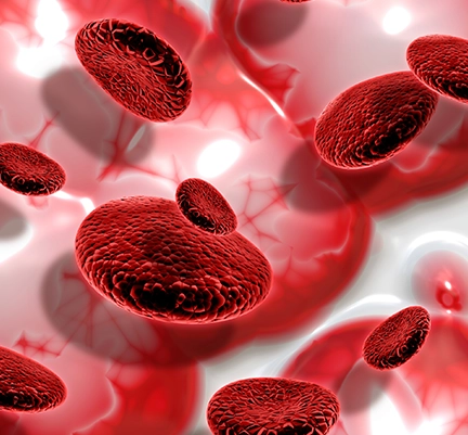 Nitric Oxide