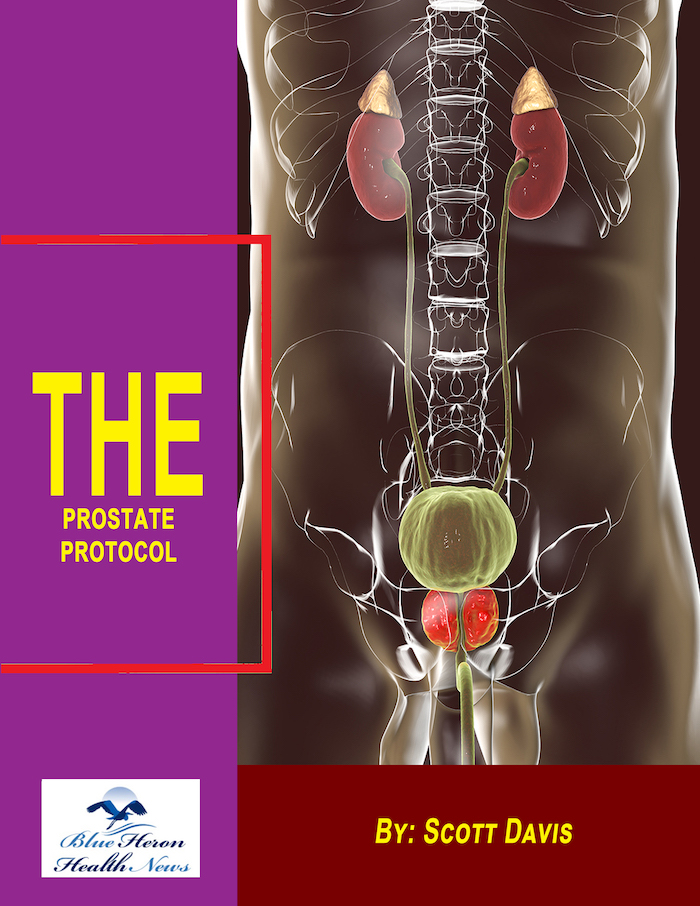 The Prostate Protocol Program Reviews