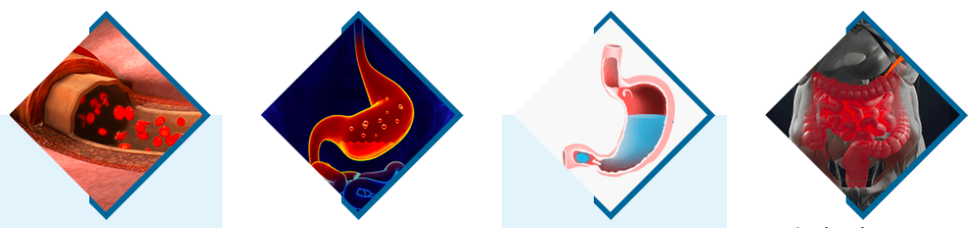 HCL Breakthrough Ingredients