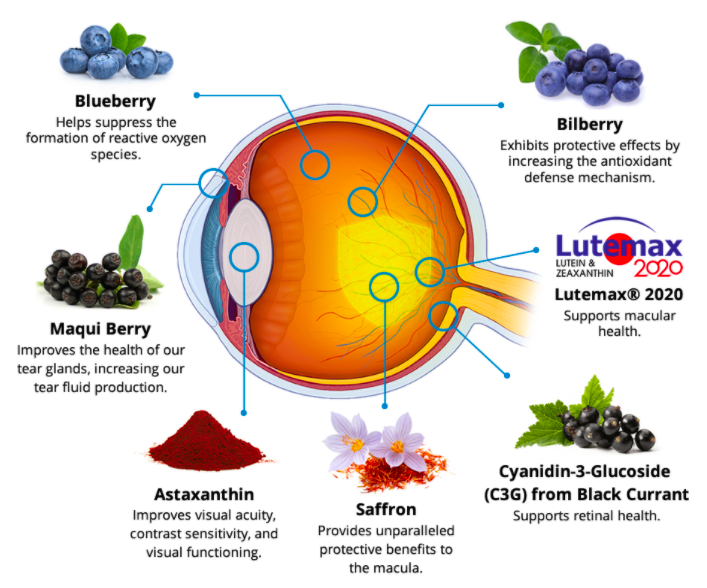 Vision Alive Max Ingredients