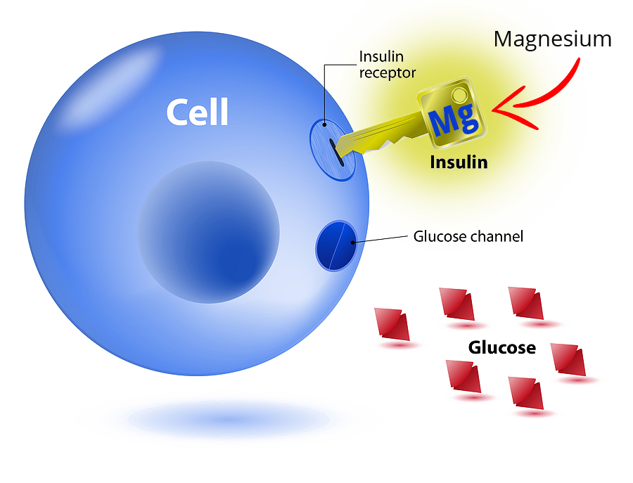 EasyRelief Magnesium 