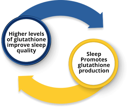 Alpha Sleep Formula Ingredients