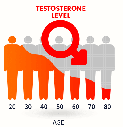 The 20 Second Testosterone Trick Book