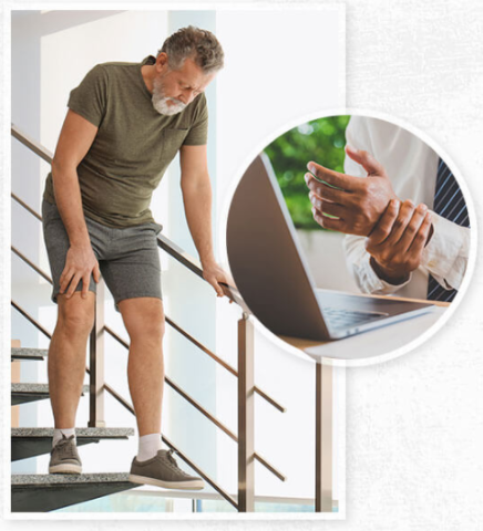 Joint Guard 360 Ingredients