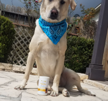 PetJoy Advanced Multi-Vitamin Supplement