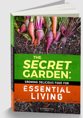 The Secret Garden Seed Vault Program