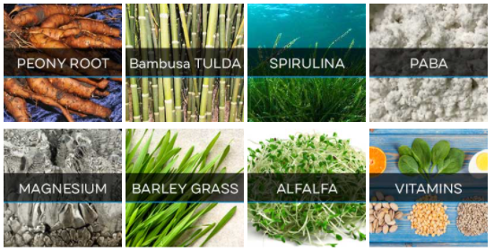 HungoSem Ingredients HungoSem Ingredients