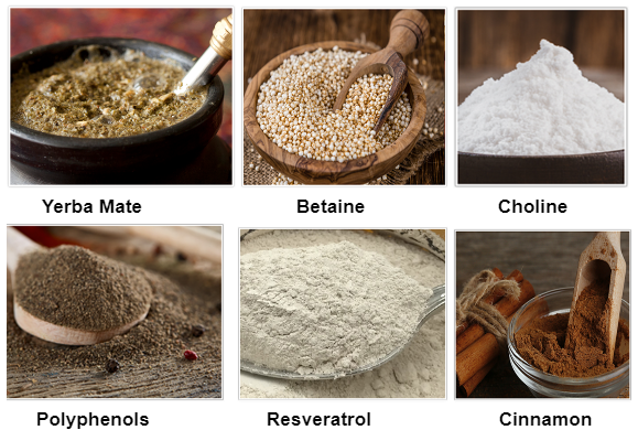 Lean Gene Ingredients