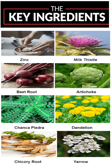 Oweli Liver Detox Ingredients